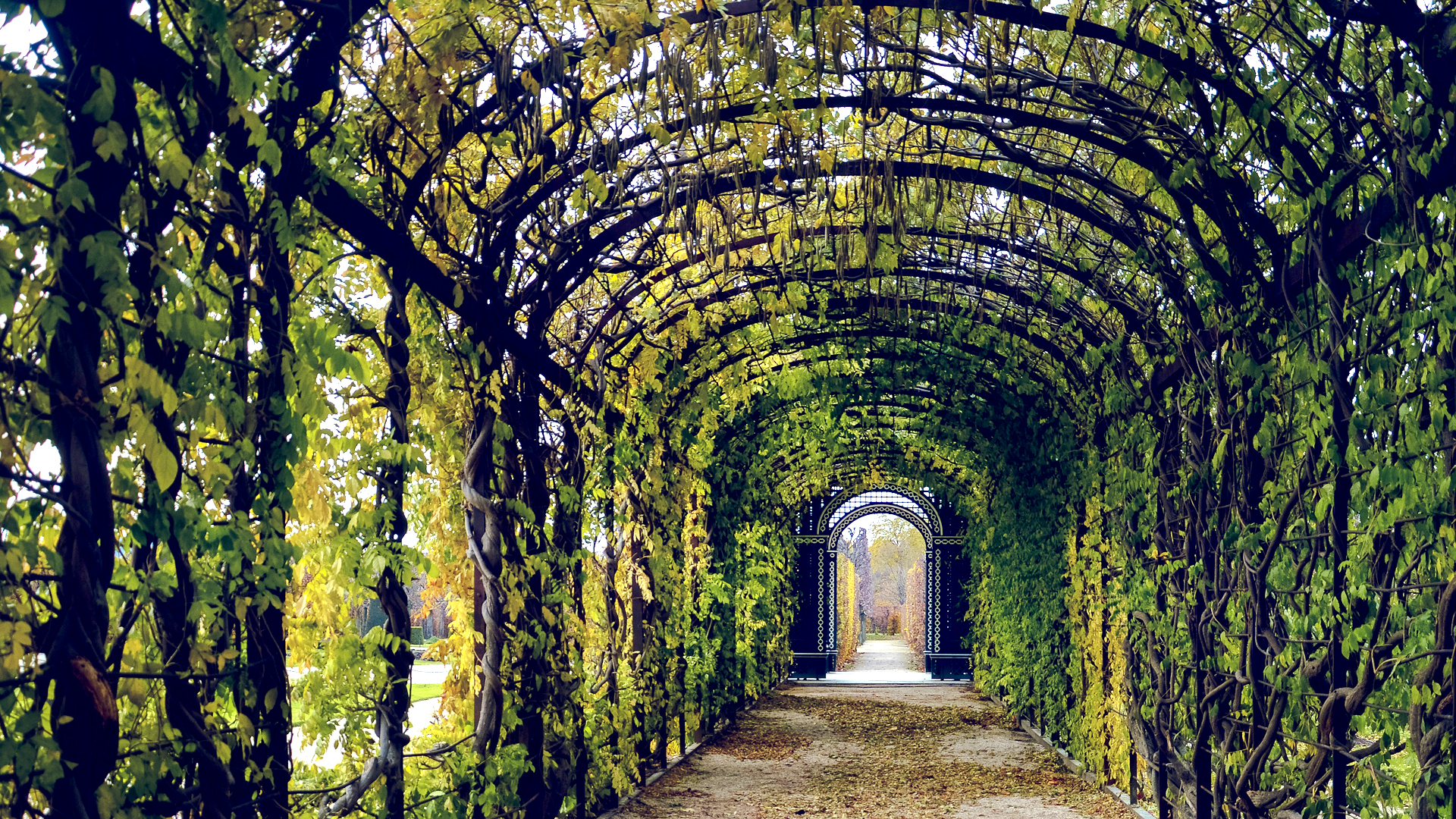 gallery-bg-img