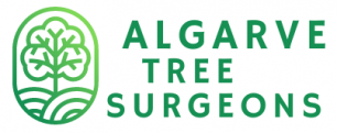 Algarve Tree Surgeons & Tree Services Algarve